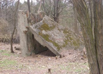 Problem mit diesem Bild?